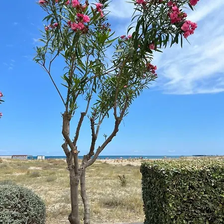 Apartment Beautiful 1 Minute Walk To The